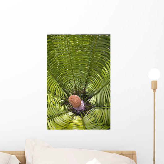 Fiji, Close up of palm related plant Wall Mural