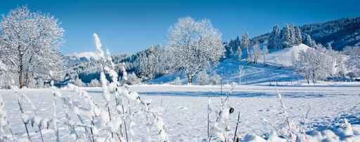 Wintertraum Wall Decal
