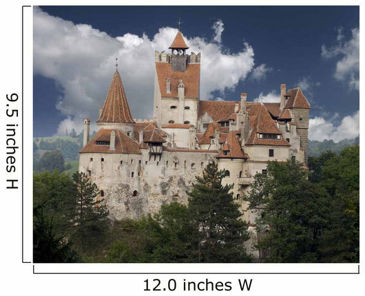 Dracula Castle from Transylvania Wall Mural