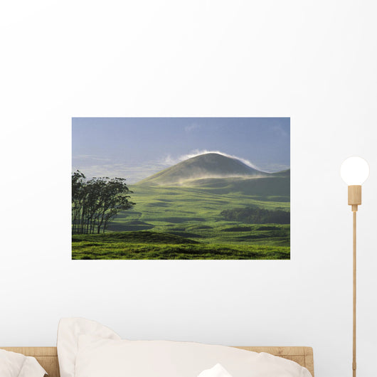 pasture and grassy hill covered with fog at Parker Ranch Wall Mural