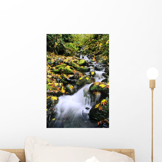 Fossil Creek In Autumn Wall Mural