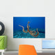 USA, tentacles outstretched over reef Wall Mural