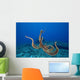 USA, tentacles outstretched over reef Wall Mural