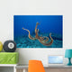 USA, tentacles outstretched over reef Wall Mural