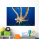 USA, Day Octopus Wall Mural
