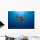 USA, Day Octopus swimming Wall Mural