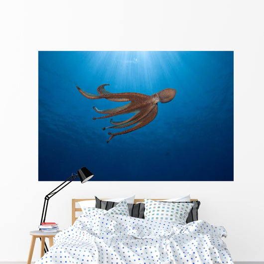 USA, Day Octopus swimming Wall Mural