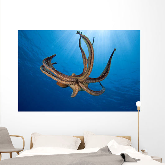 USA, Day Octopus Wall Mural