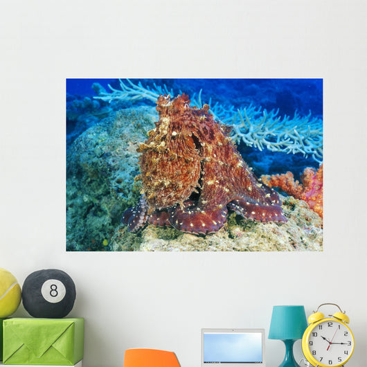 Day Octopus on coral Wall Mural