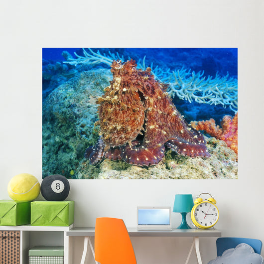 Day Octopus on coral Wall Mural