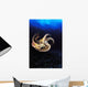 USA, Day Octopus swimming in Ocean Wall Mural