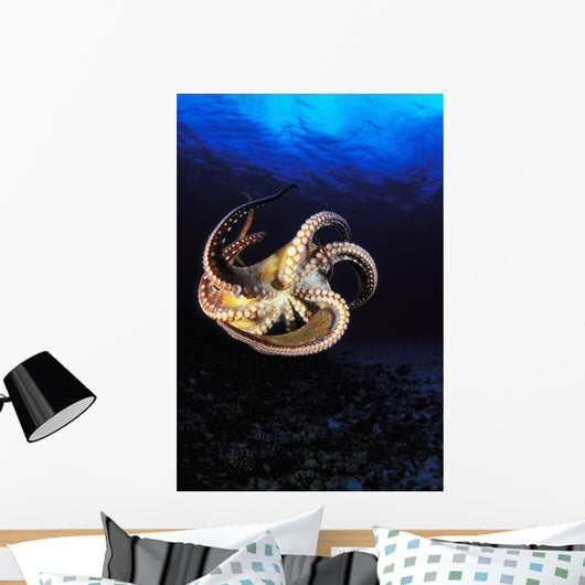 USA, Day Octopus swimming in Ocean Wall Mural