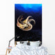 USA, Day Octopus swimming in Ocean Wall Mural