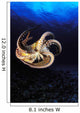 USA, Day Octopus swimming in Ocean Wall Mural