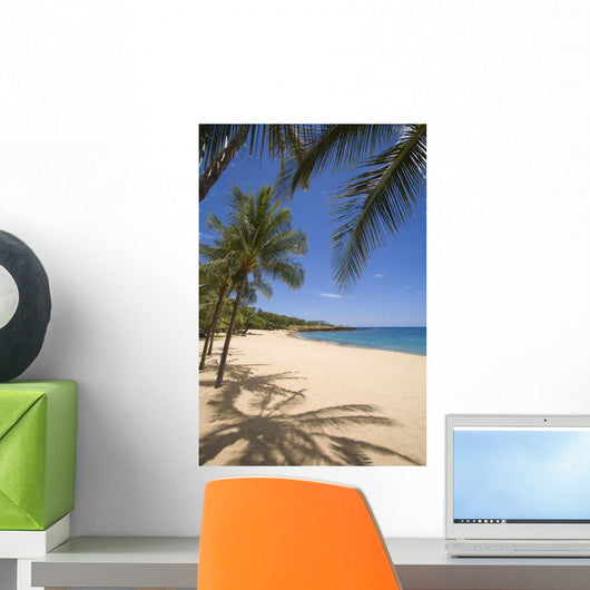 Palm Trees And Shadows Along Sandy Beach And Turquoise Ocean Wall Mural