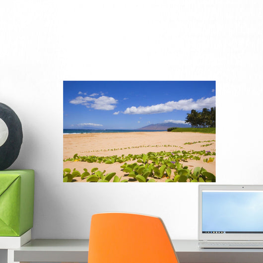 USA, Hawaii, Maui, Green leafy vines on Keawakapu Beach Wall Mural