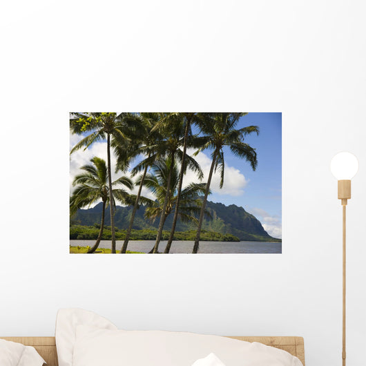 Waikane Beach Park with Pacific Ocean and Kualoa in background Wall Mural