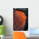 Close up of molten Pahoehoe lava Wall Mural