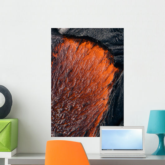 Close up of molten Pahoehoe lava Wall Mural