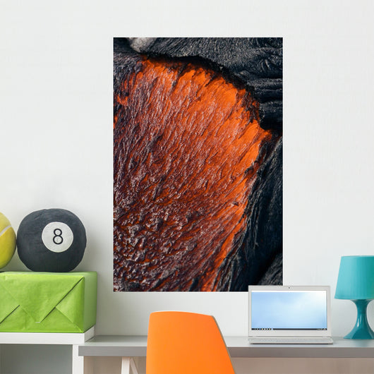 Close up of molten Pahoehoe lava Wall Mural