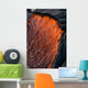 Close up of molten Pahoehoe lava Wall Mural