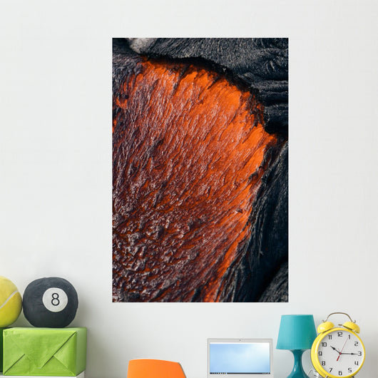 Close up of molten Pahoehoe lava Wall Mural
