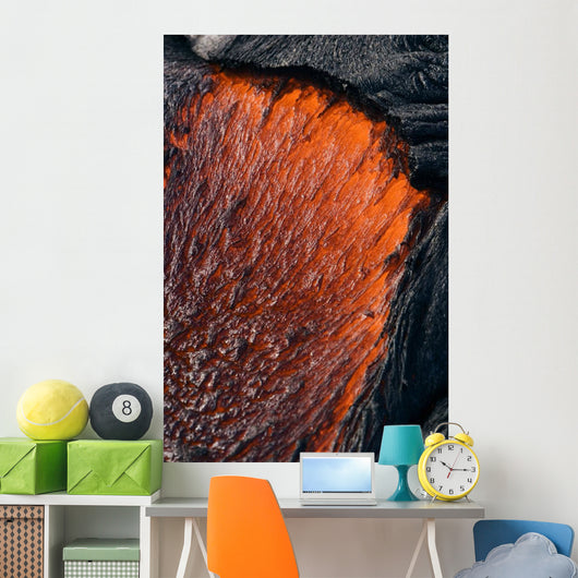 Close up of molten Pahoehoe lava Wall Mural