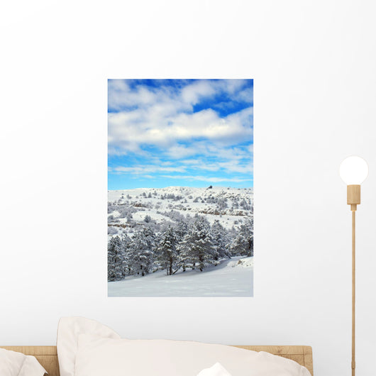 Winter Landscape Wall Mural