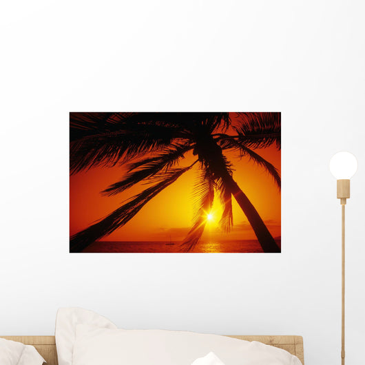orange sunset thru palm silhouette Wall Mural