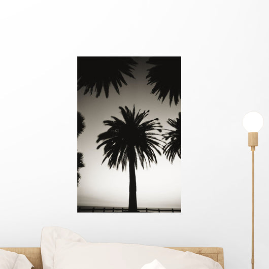 Silhouetted palm tree centered between other palm tree tops at dusk Wall Mural