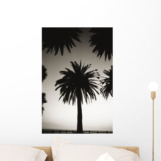 Silhouetted palm tree centered between other palm tree tops at dusk Wall Mural