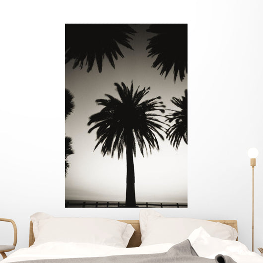 Silhouetted palm tree centered between other palm tree tops at dusk Wall Mural