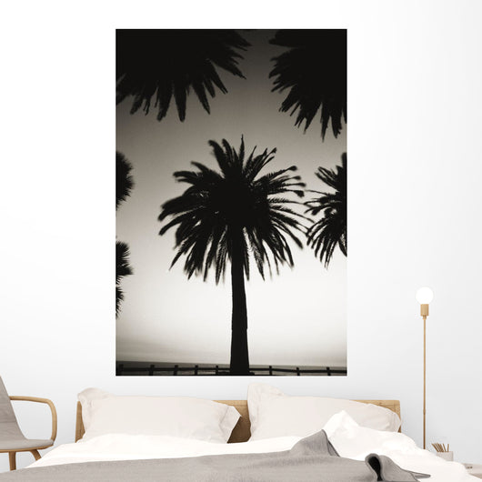 Silhouetted palm tree centered between other palm tree tops at dusk Wall Mural
