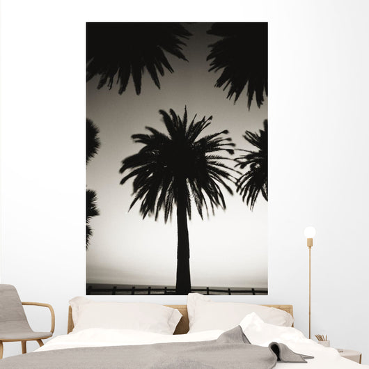 Silhouetted palm tree centered between other palm tree tops at dusk Wall Mural