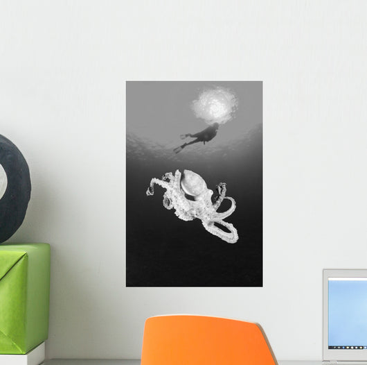 Hawaii, Lanai, Octopus In Ocean Water, Diver In Background Wall Mural