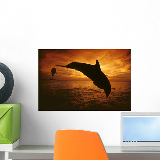 A Pair Of Atlantic Bottlenose Dolphin Leap Into A Caribbean Sunset Wall Mural