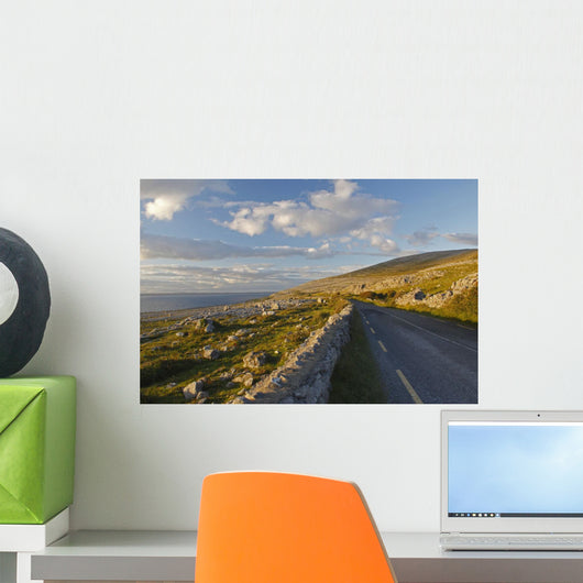 Road Along The Burren Coastline Region Wall Mural