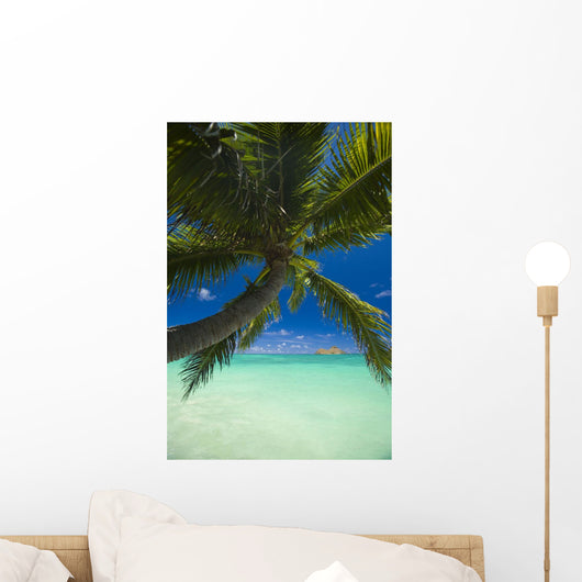 Palm tree over Pacific ocean with Mokulua island in background Wall Mural