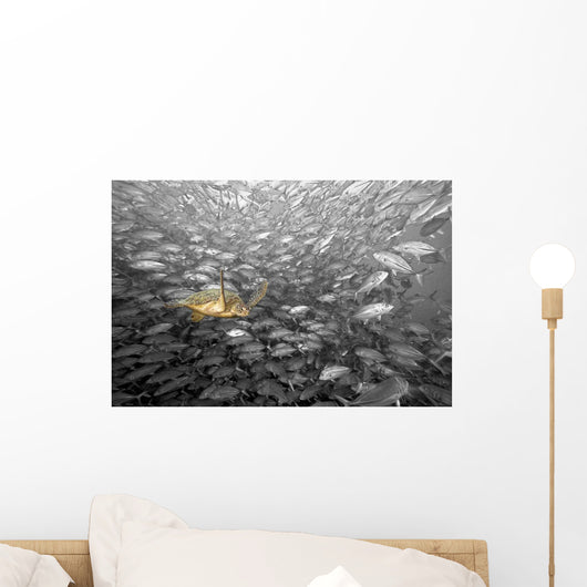 Malaysia, Green Sea Turtle and Schooling Jacks Wall Mural