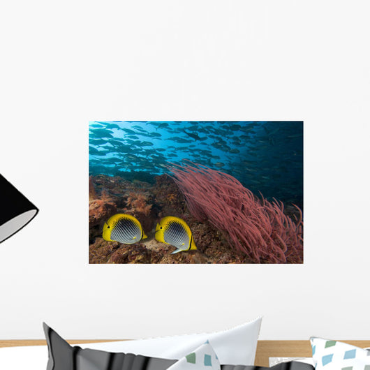 Malaysia, Alcyonarian Coral and pair of Spot-Tailed Butterflyfish Wall Mural