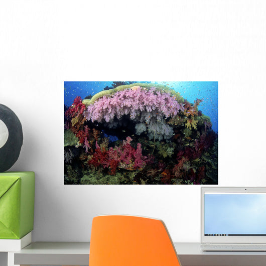 Fiji, Alcyonarian coral Wall Mural