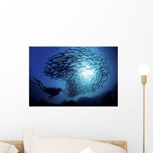 Ecuador, Diver and schooling Black Striped Salema Wall Mural