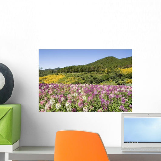 Meadow Of Colorful Flowers Wall Mural