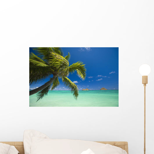 USA, Hawaii, Oahu, Mokulua island in background Wall Mural