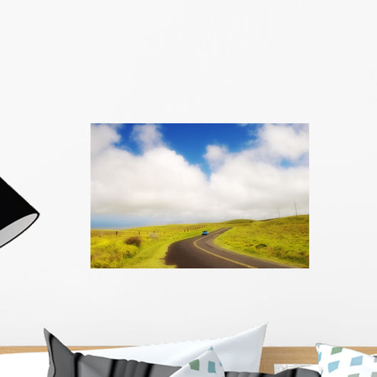 Car driving down Saddle Road Wall Mural