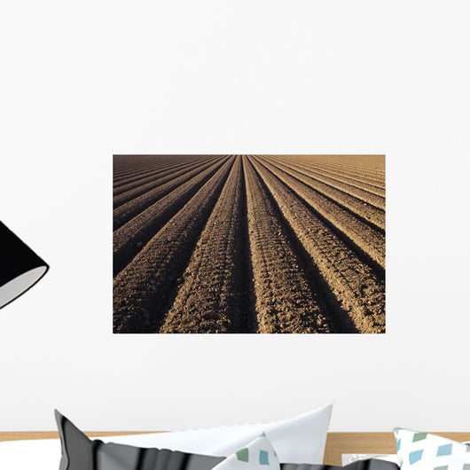 California, Field Of Plowed Soil Ready For Planting Wall Mural