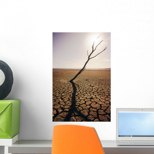 USA, California, Tree snag and cracked mud in dry lake bed Wall Mural