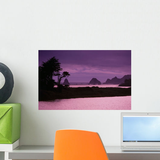 California, Sonoma Coast At Dusk, Jenner, Russian River Entering Ocean Wall Mural