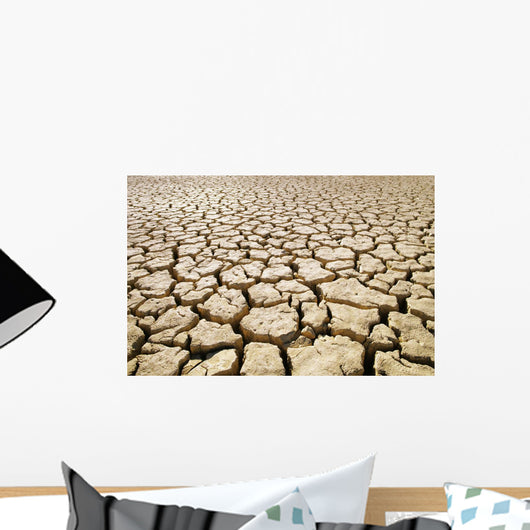Africa, Namibia, Detail Of Cracked Mud In Dry Lake Bed Wall Mural