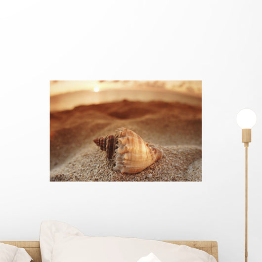 Seashell Laying In The Sand With Sun Setting Behind It Wall Mural